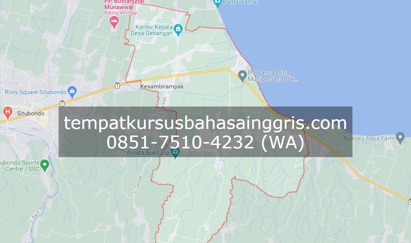 Les Bahasa Inggris di Kapongan Situbondo, Bimbingan Belajar (Bimbel) Bahasa Inggris Kapongan Situbondo, Privat Bahasa Inggris Kapongan Situbondo